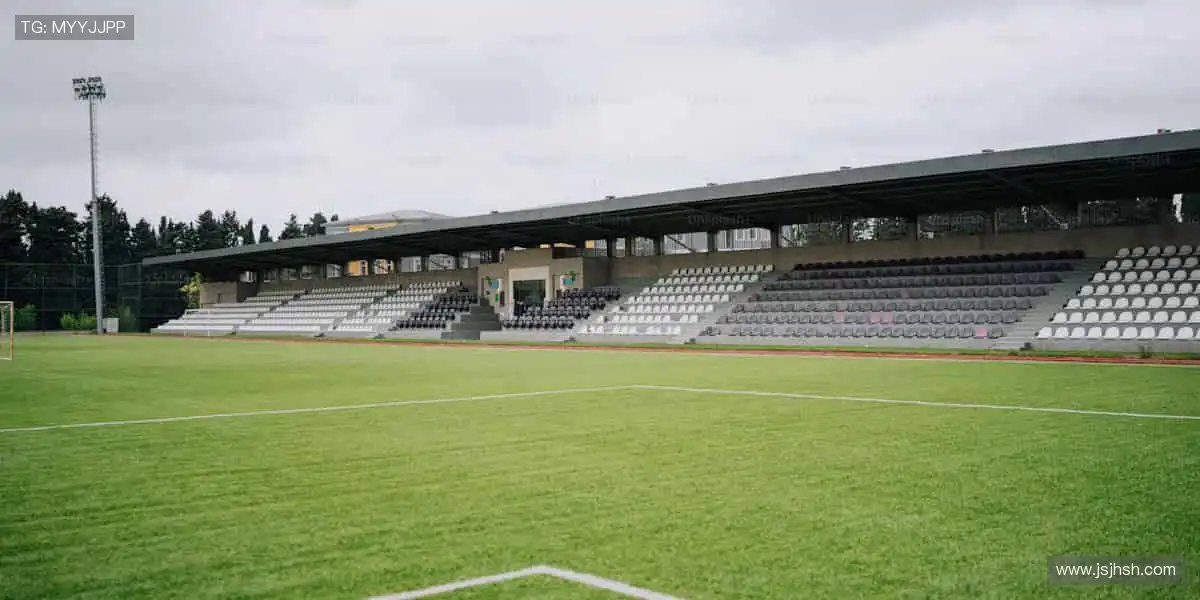 🔥 热血赛事，激情碰撞，官网直击现场心跳！